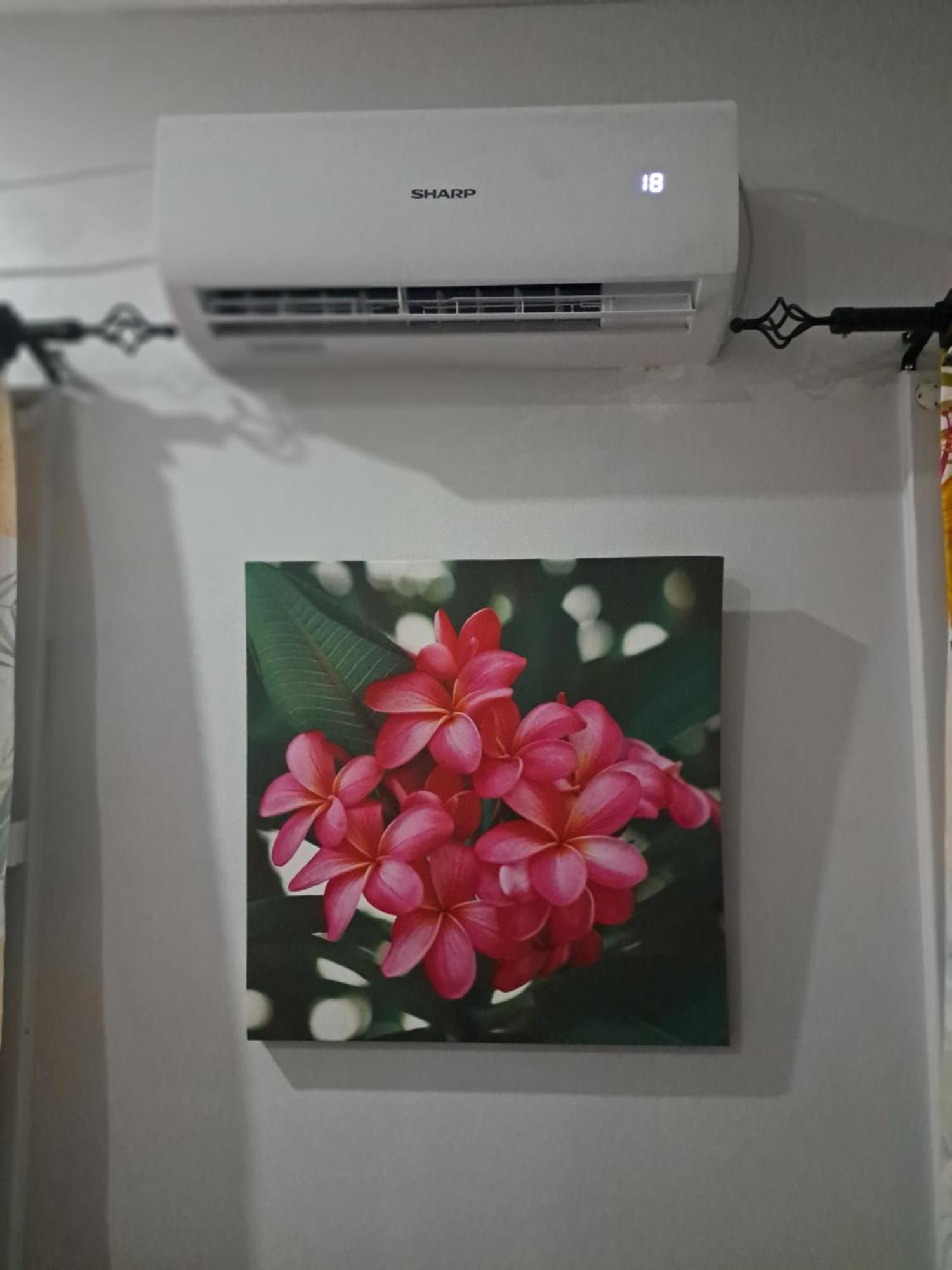 Tropical Almond Haven Bed and Breakfast Suva Esterno foto