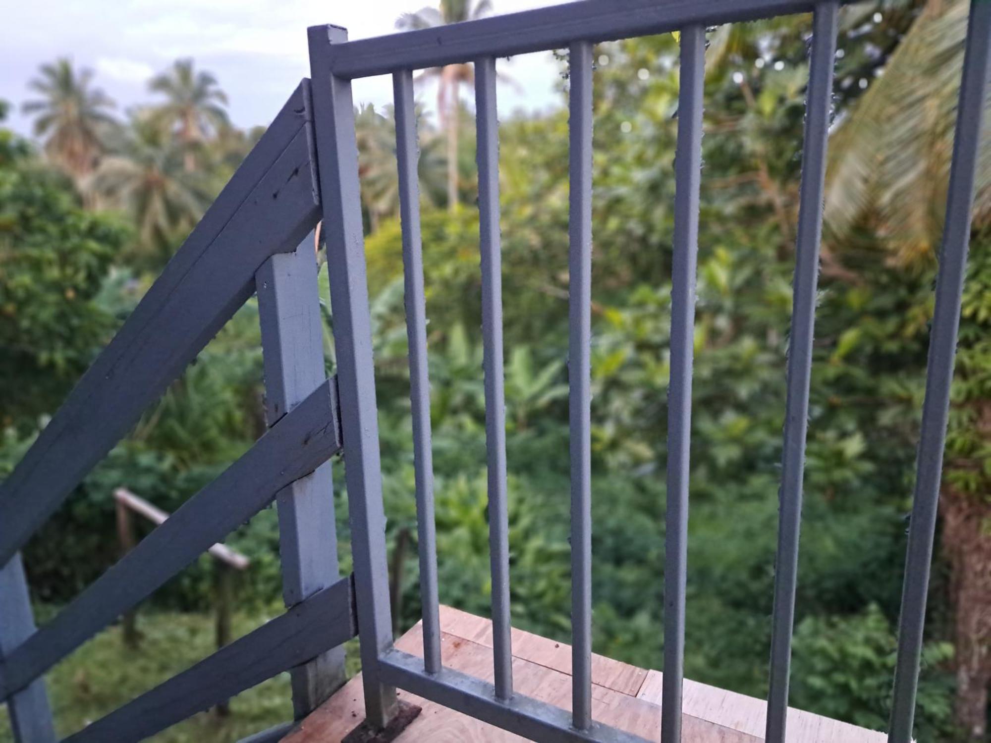 Tropical Almond Haven Bed and Breakfast Suva Esterno foto
